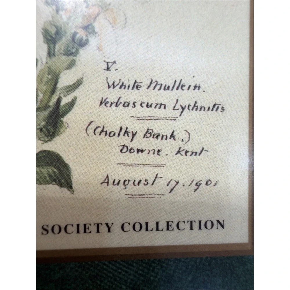 Set Of 4 Pimpernel Royal Horticulture Society Floral Cork Back Placemats England
